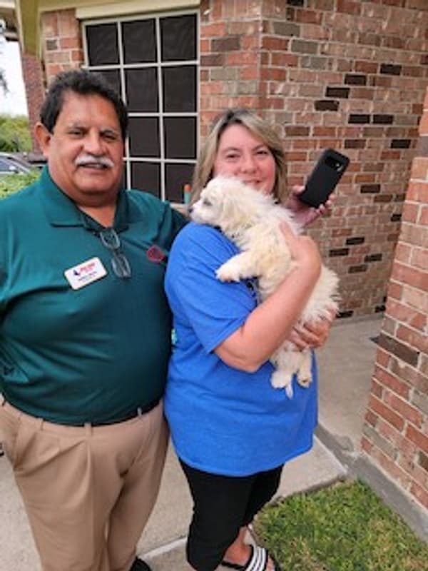 Customer photo of Shichon puppy from Gabriel B. 