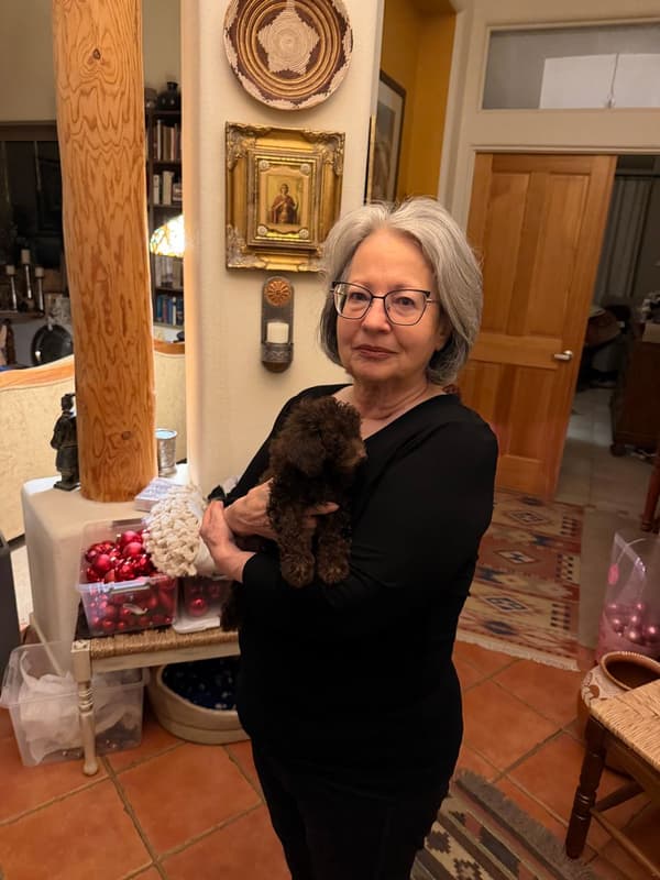 Customer photo of Poodle, Toy puppy from Katherine B.