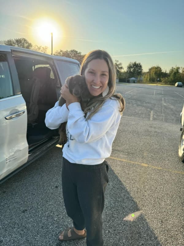 Customer photo of Dachshund, Mini puppy from Summer W.