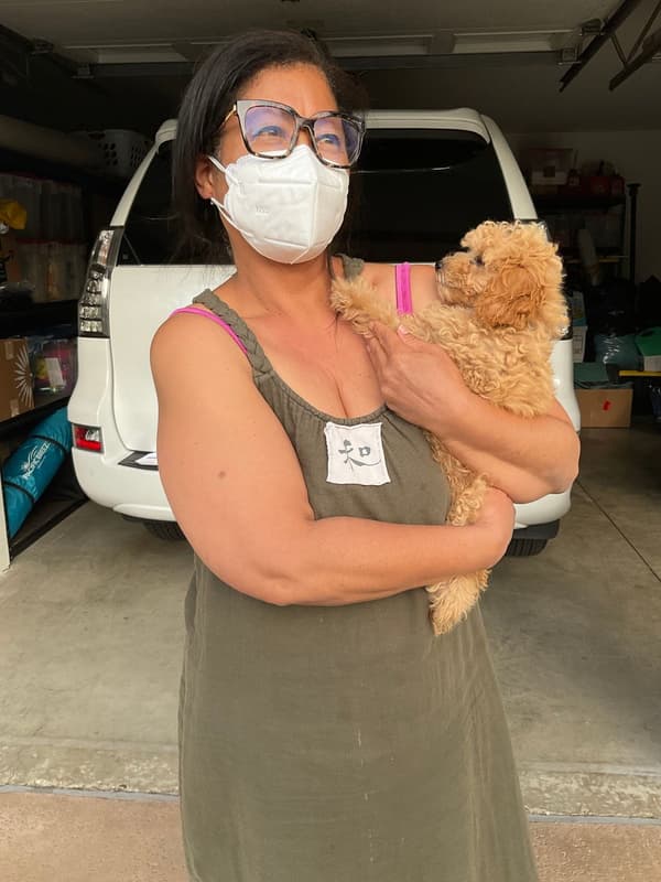Customer photo of Poodle, Toy puppy from Donna L.