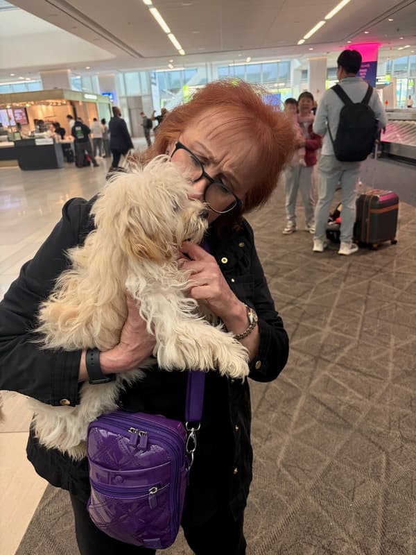 Customer photo of Malti Poo - Maltipoo puppy from Frank C.