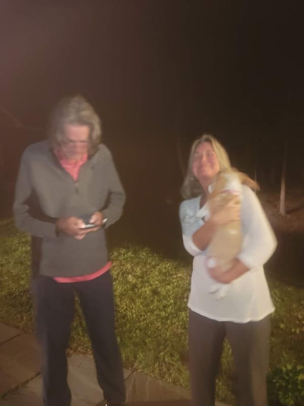 Customer photo of Beagle puppy from James M. 