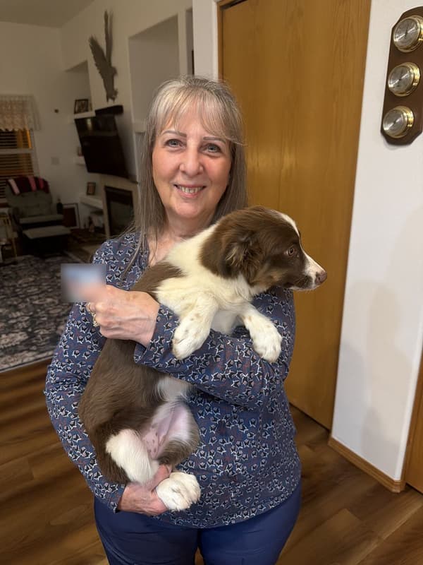 Customer photo of Miniature Australian Shepherd puppy from Donna S.