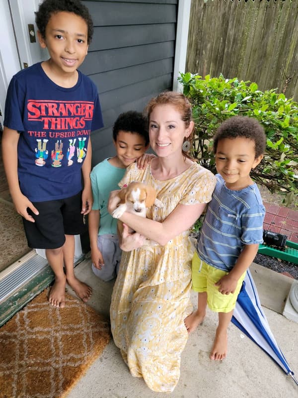 Customer photo of Beagle puppy from Stephanie S.