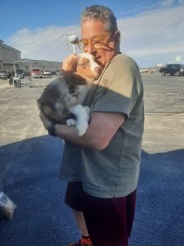 Customer photo of Miniature Australian Shepherd puppy from Marco C.