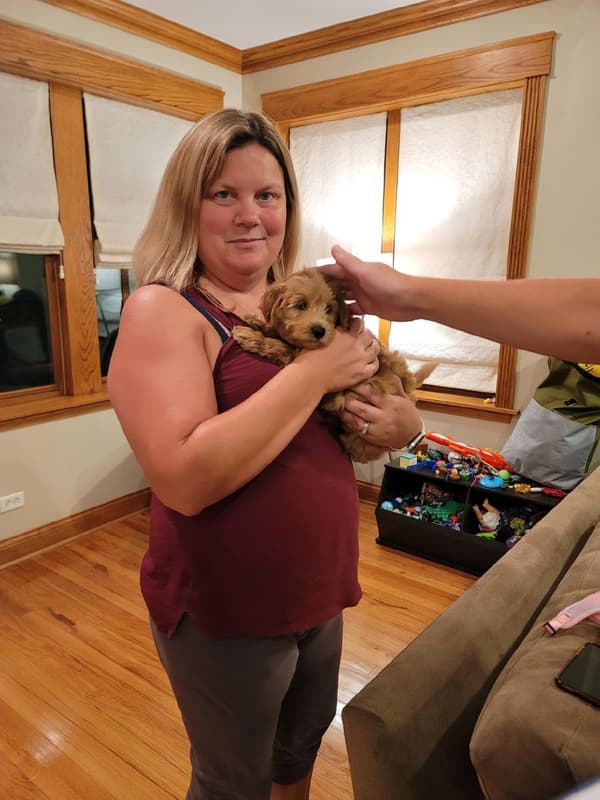 Customer photo of Goldendoodle, Mini puppy from Sarah S. 