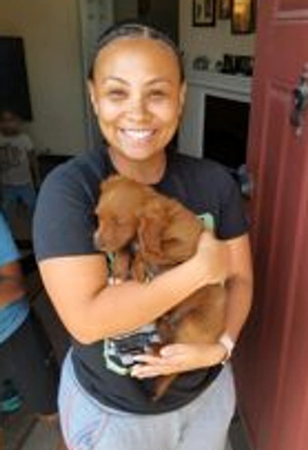 Customer photo of Cavapoo puppy from Ariana B.