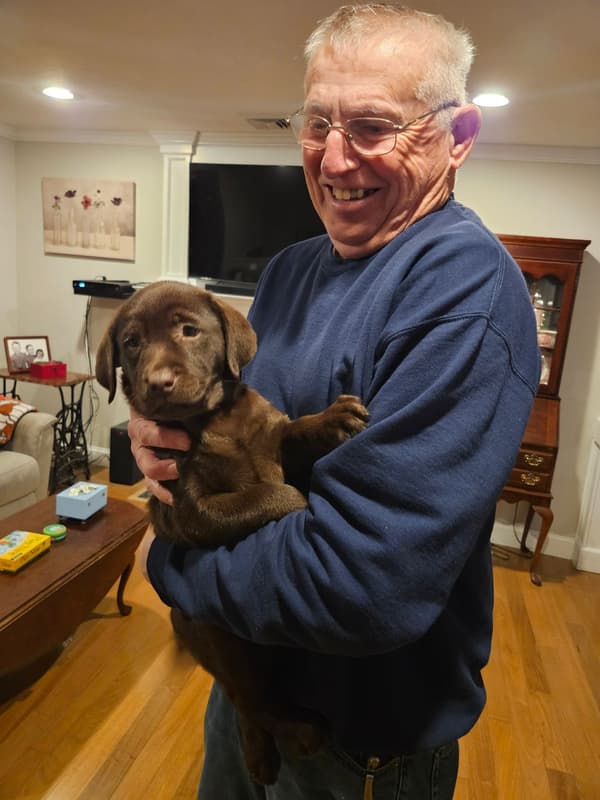 Customer photo of Labrador Retriever puppy from Douglas B.