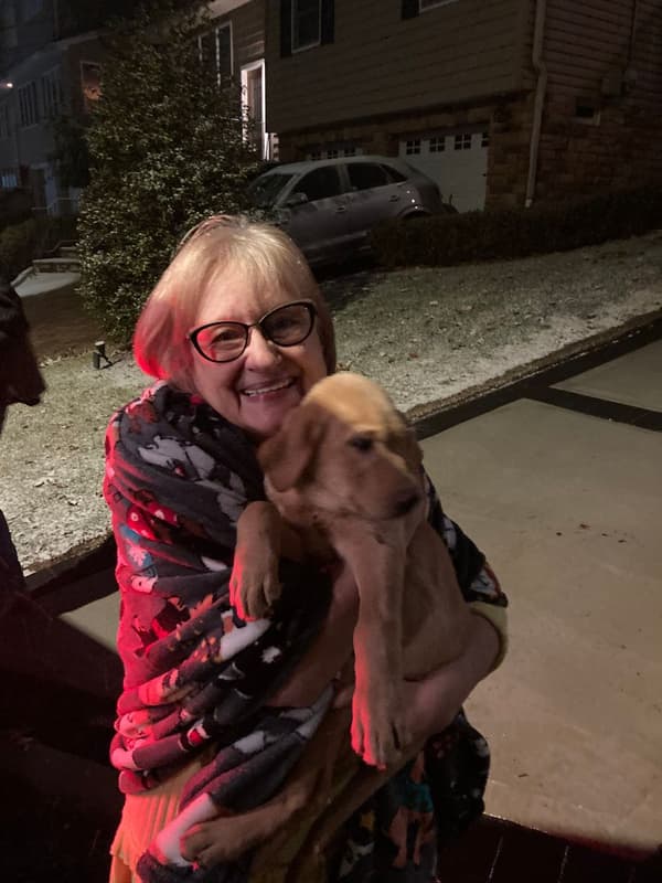 Customer photo of Labrador Retriever puppy from Janice B.