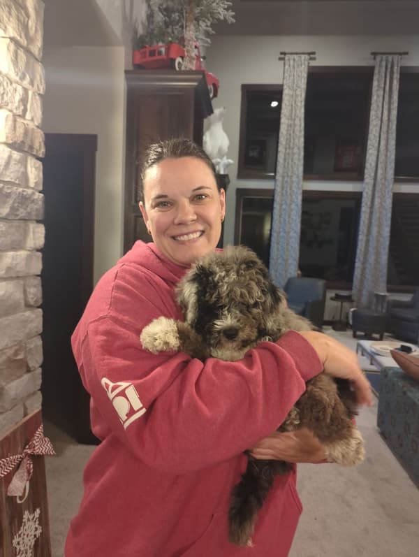 Customer photo of Bernedoodle, Mini puppy from Kelly C.