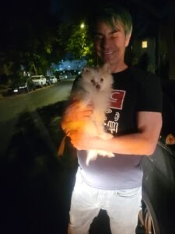Customer photo of Pomeranian puppy from Andy V.