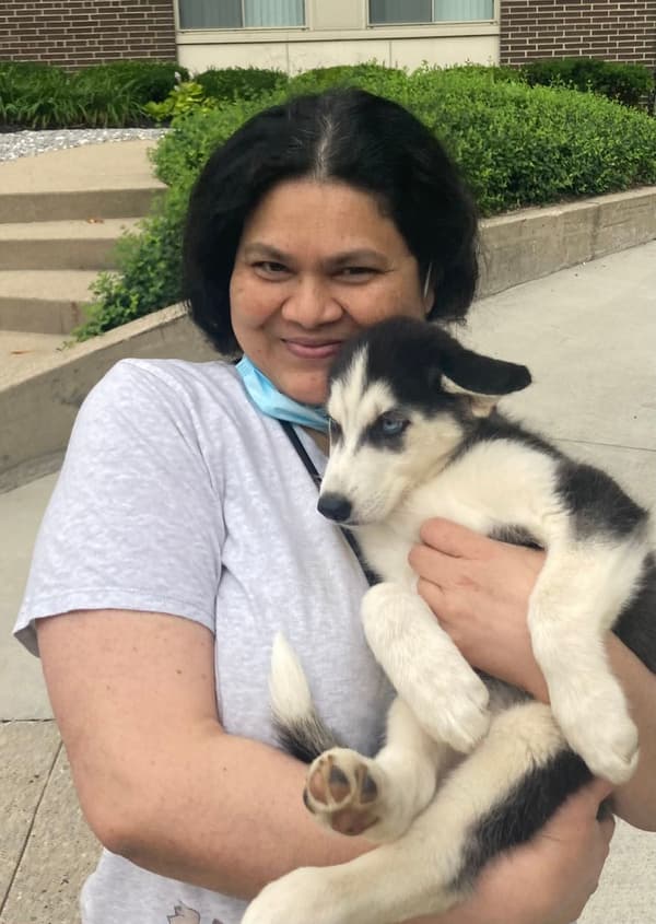 Customer photo of Siberian Husky puppy from Alka P.