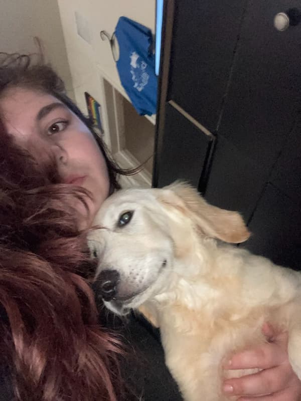 Customer photo of Golden Retriever puppy from Agerea S.