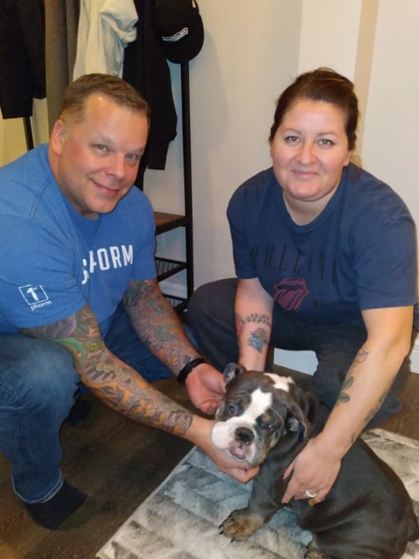 Customer photo of English Bulldog puppy from Marinda M.