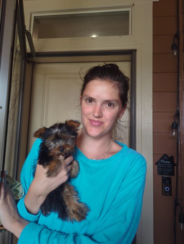 Customer photo of Yorkshire Terrier - Yorkie puppy from Maryann T.