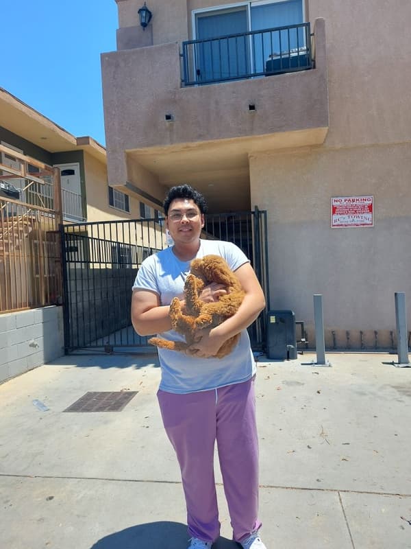 Customer photo of Goldendoodle puppy from Richard V.