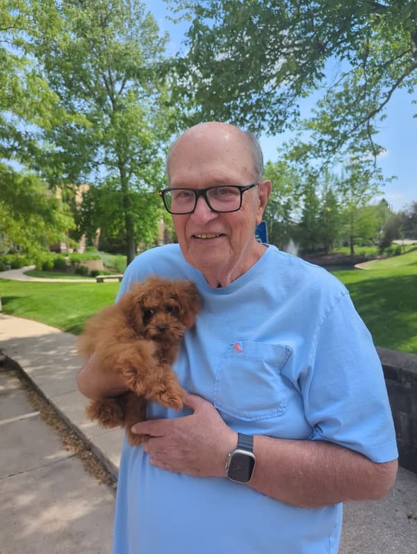 Customer photo of Poodle, Toy puppy from Jeffrey C.