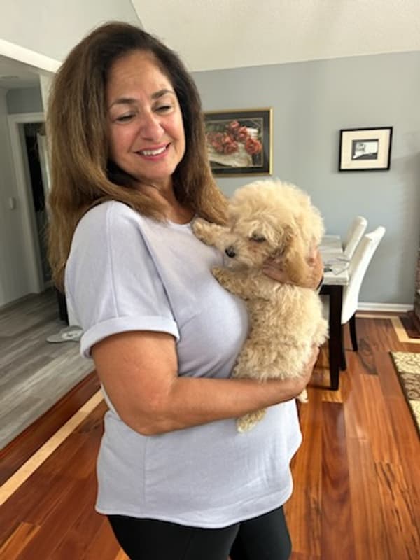 Customer photo of Bich-Poo - Bichpoo puppy from Diane H. 