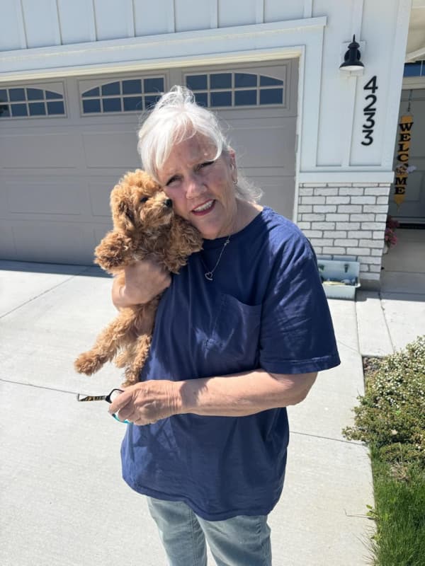 Customer photo of Bich-Poo - Bichpoo puppy from Dianne P.