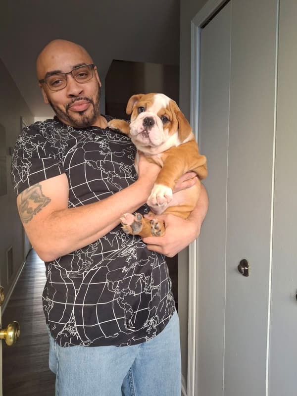 Customer photo of English Bulldog puppy from Bryan T.