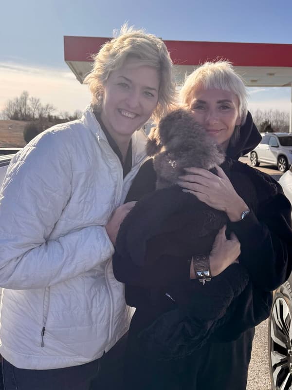 Customer photo of Poodle, Miniature puppy from Lena D.