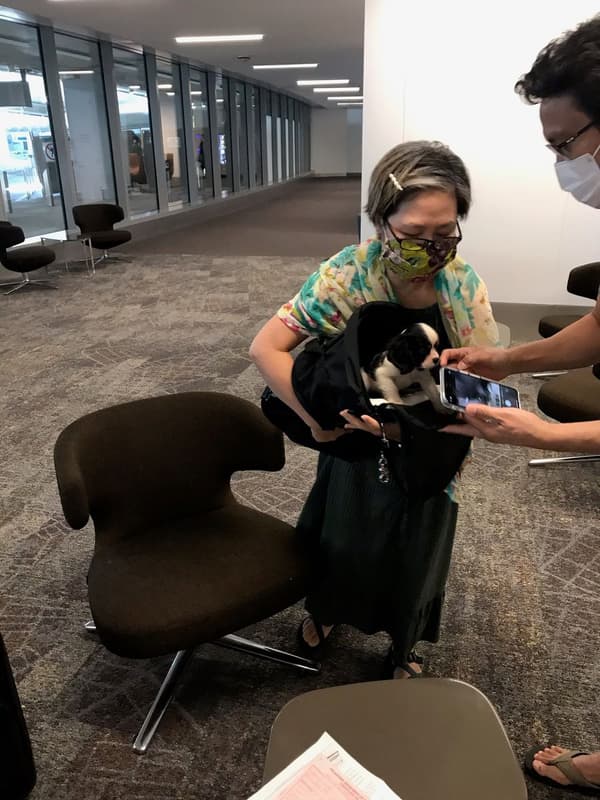 Customer photo of Cavalier King Charles Spaniel puppy from Pilaiporn P.
