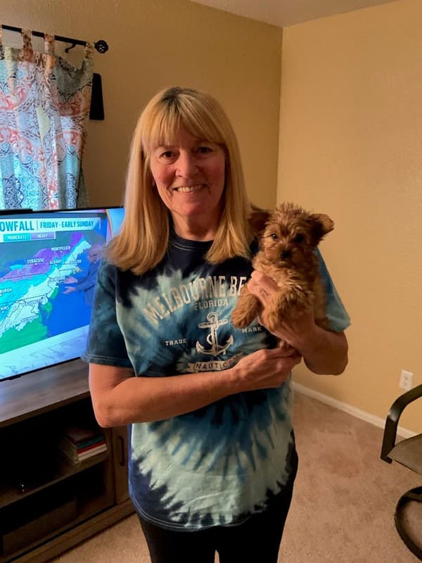 Customer photo of Yorkshire Terrier - Yorkie puppy from Connie C.