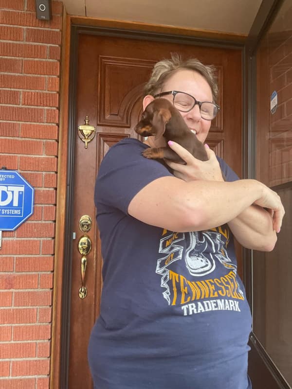 Customer photo of Dachshund, Mini puppy from Jacqueline E. 