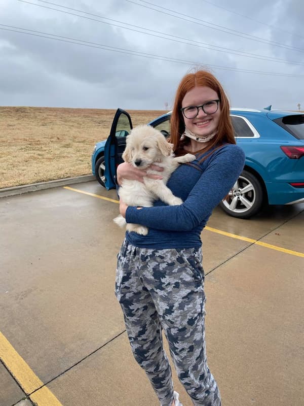 Customer photo of Goldendoodle puppy from Jason K.