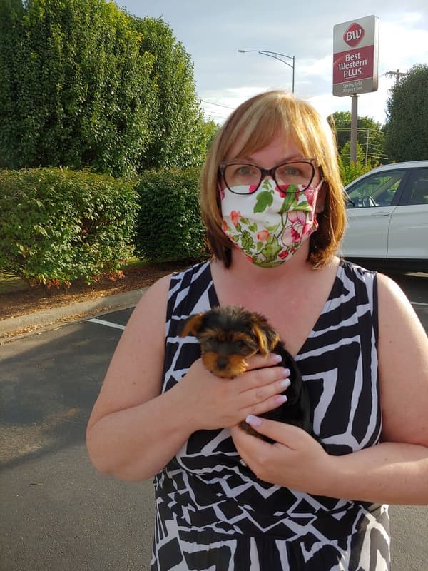 Customer photo of Yorkshire Terrier - Yorkie puppy from Dawn J.