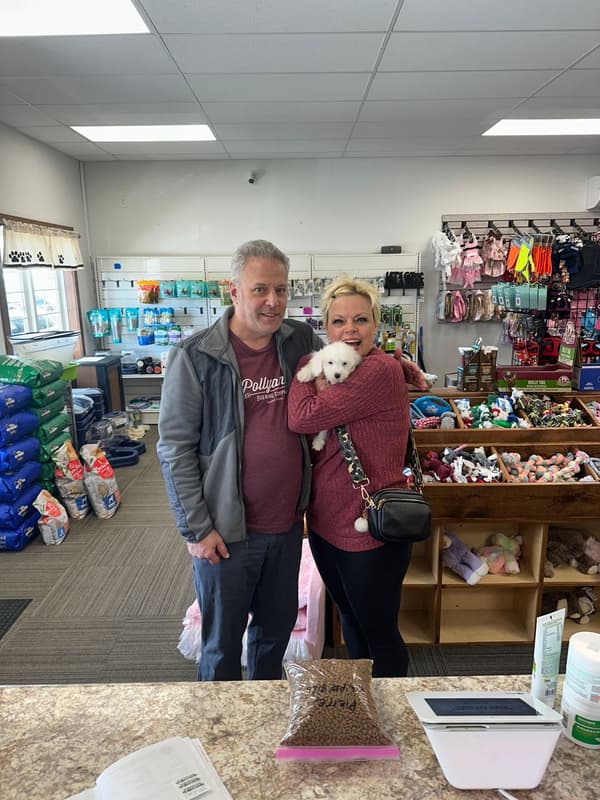 Customer photo of Coton De Tulear puppy from Debra W.