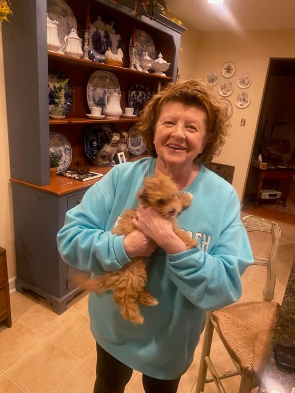 Customer photo of Malti Poo - Maltipoo puppy from Patricia S.