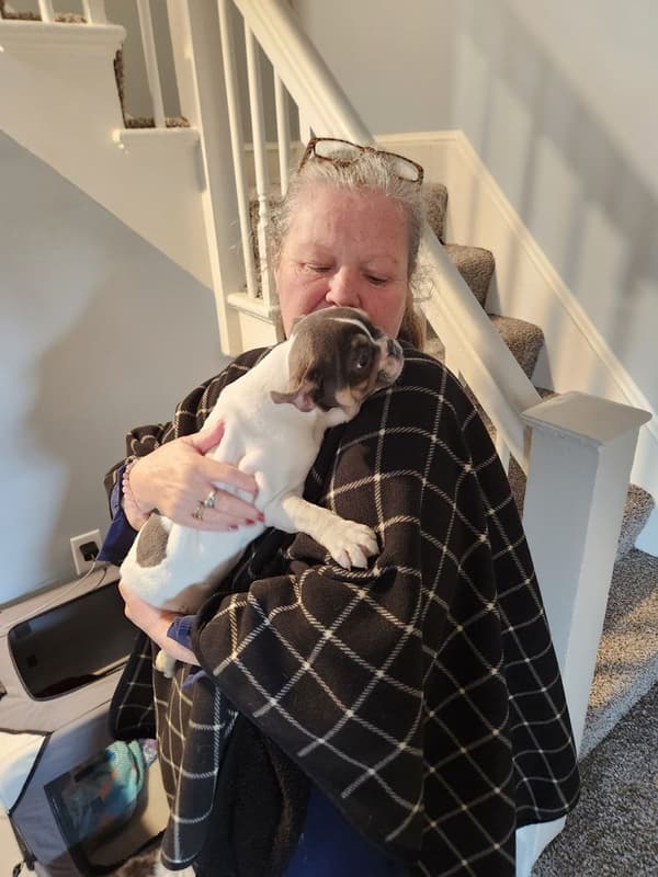 Customer photo of French Bulldog puppy from Freda C.