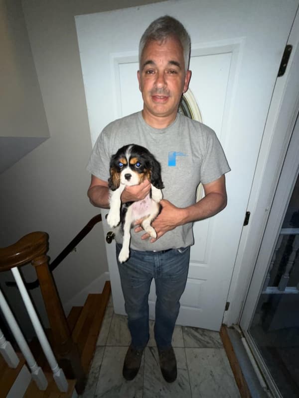 Customer photo of Cavalier King Charles Spaniel puppy from Anthony B.