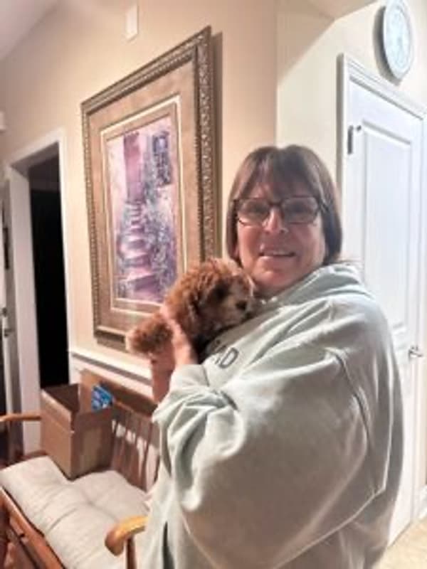 Customer photo of Cavapoo puppy from Andrea Q.