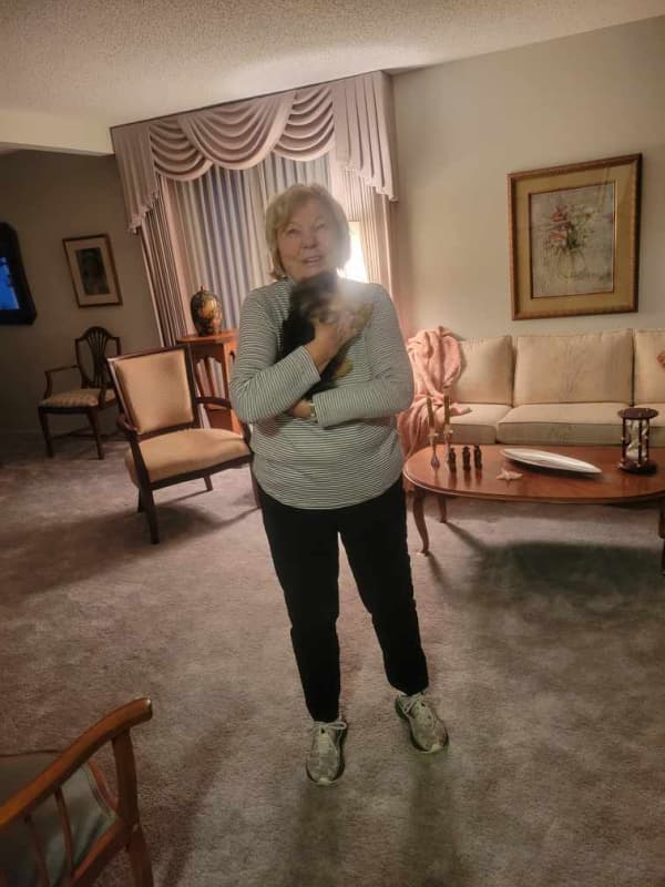 Customer photo of Morkie / Yorktese puppy from Karen T.