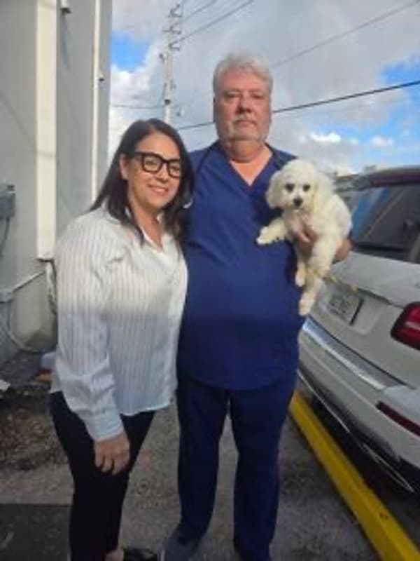 Customer photo of Bichon Frise puppy from Alicia G.