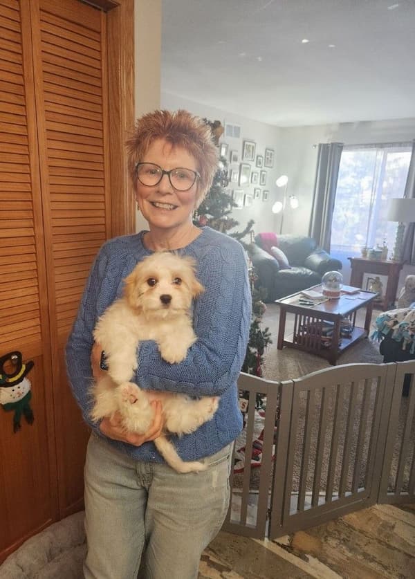 Customer photo of Cavachon puppy from Louise W.