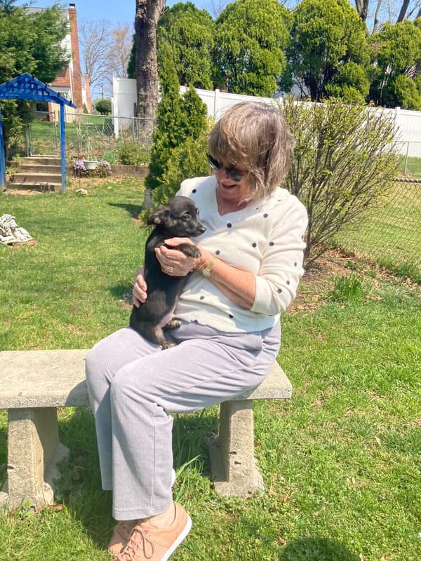 Customer photo of Corgipoo puppy from Nancylee C.