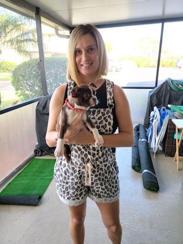 Customer photo of Boston Terrier puppy from Louis N.