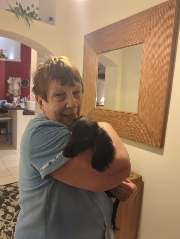Customer photo of Dachshund, Mini puppy from Joan S.