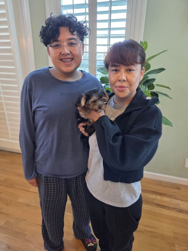 Customer photo of Yorkshire Terrier - Yorkie puppy from Mauro B.