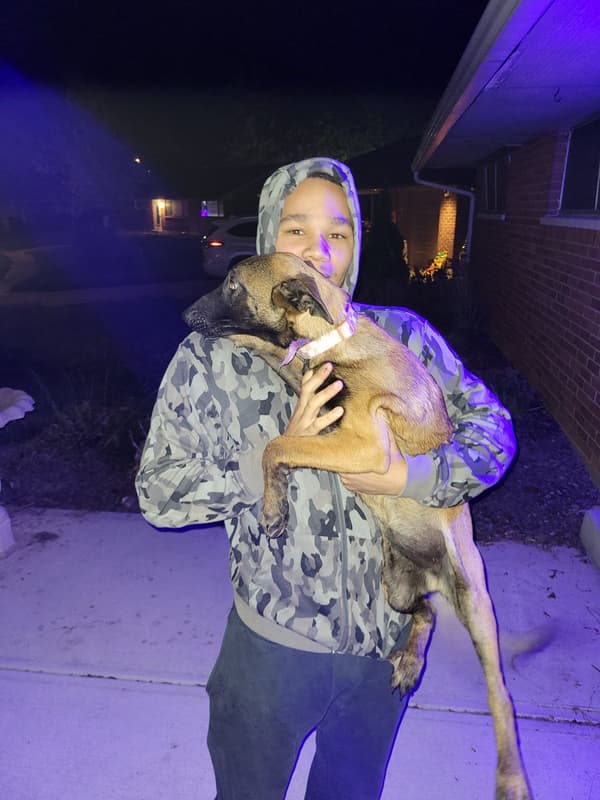 Customer photo of Belgian Malinois puppy from Lee K.