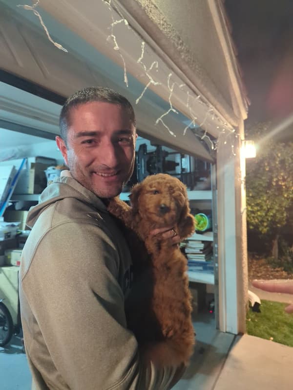 Customer photo of Goldendoodle, Mini puppy from Kenneth O.