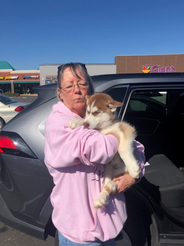 Customer photo of Siberian Husky puppy from Jeri W.