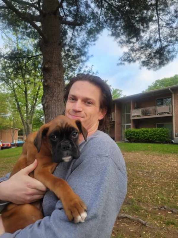 Customer photo of Boxer puppy from Ryan S.