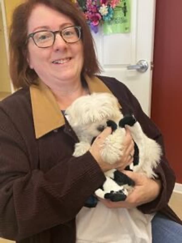 Customer photo of Maltese puppy from Fran B.