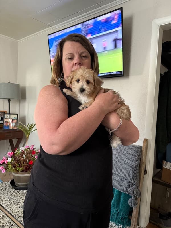 Customer photo of Morkie / Yorktese puppy from Chrstina K.