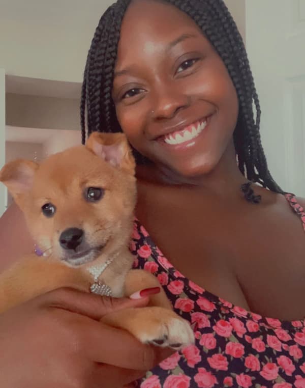 Customer photo of Shiba Inu puppy from Shana C.