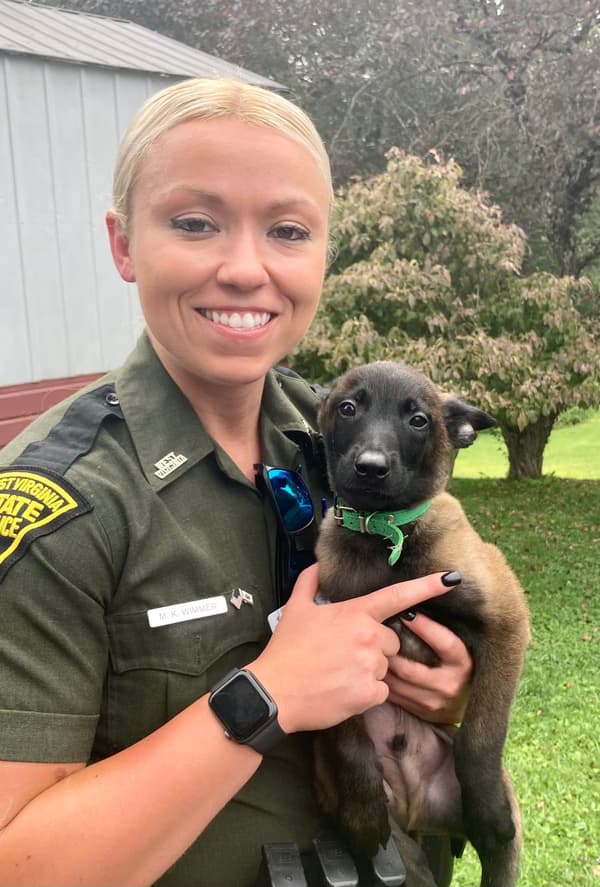 Customer photo of Belgian Malinois puppy from Maranda W.